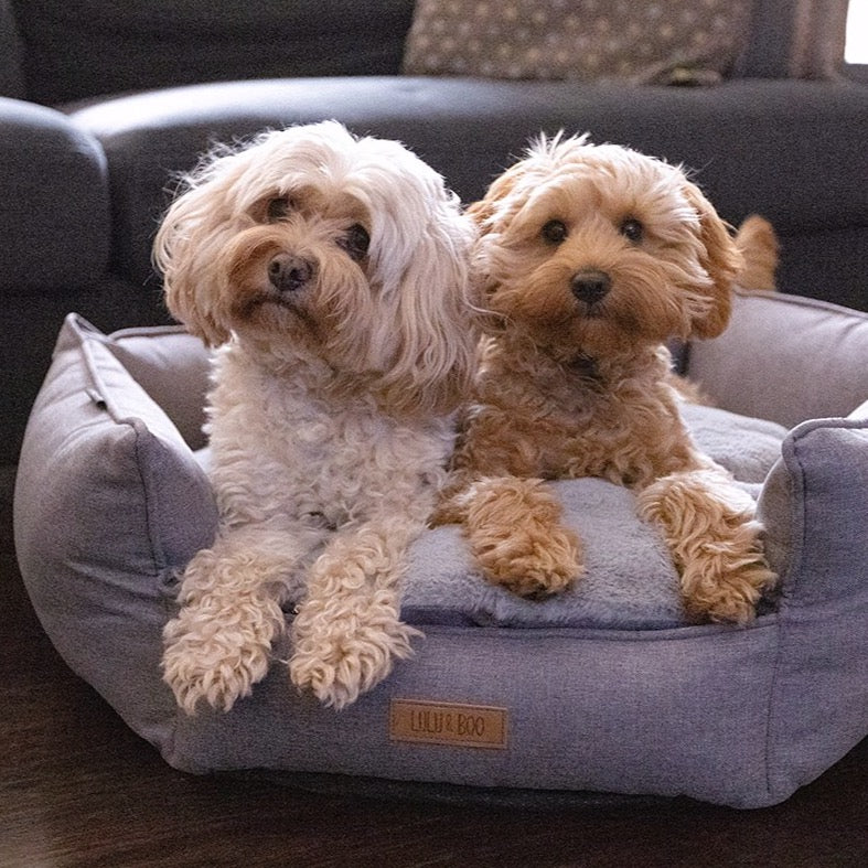 Grey shop dog pillow